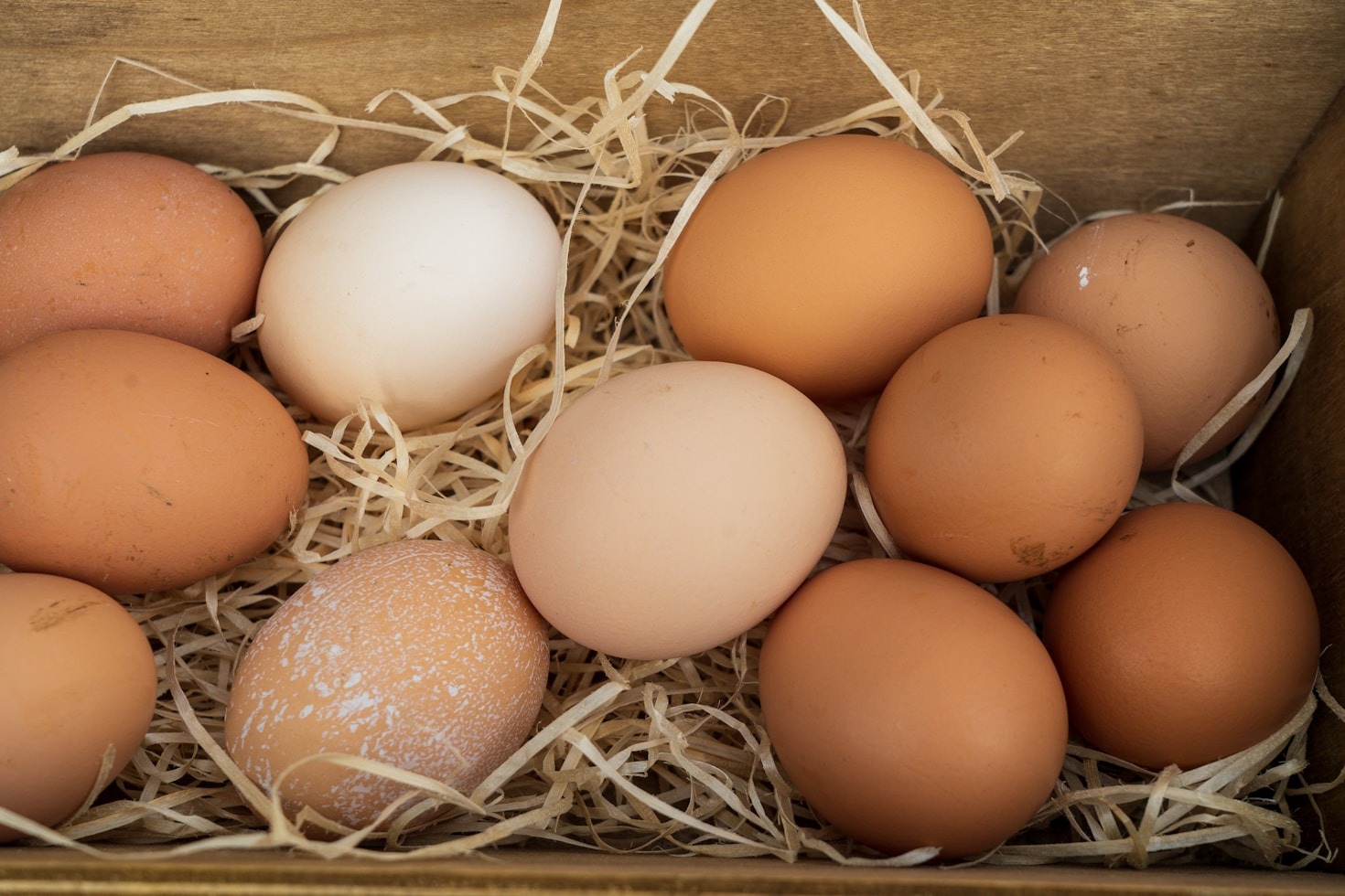 Benefits of Fresh Eggs Over Store-Bought Alternatives