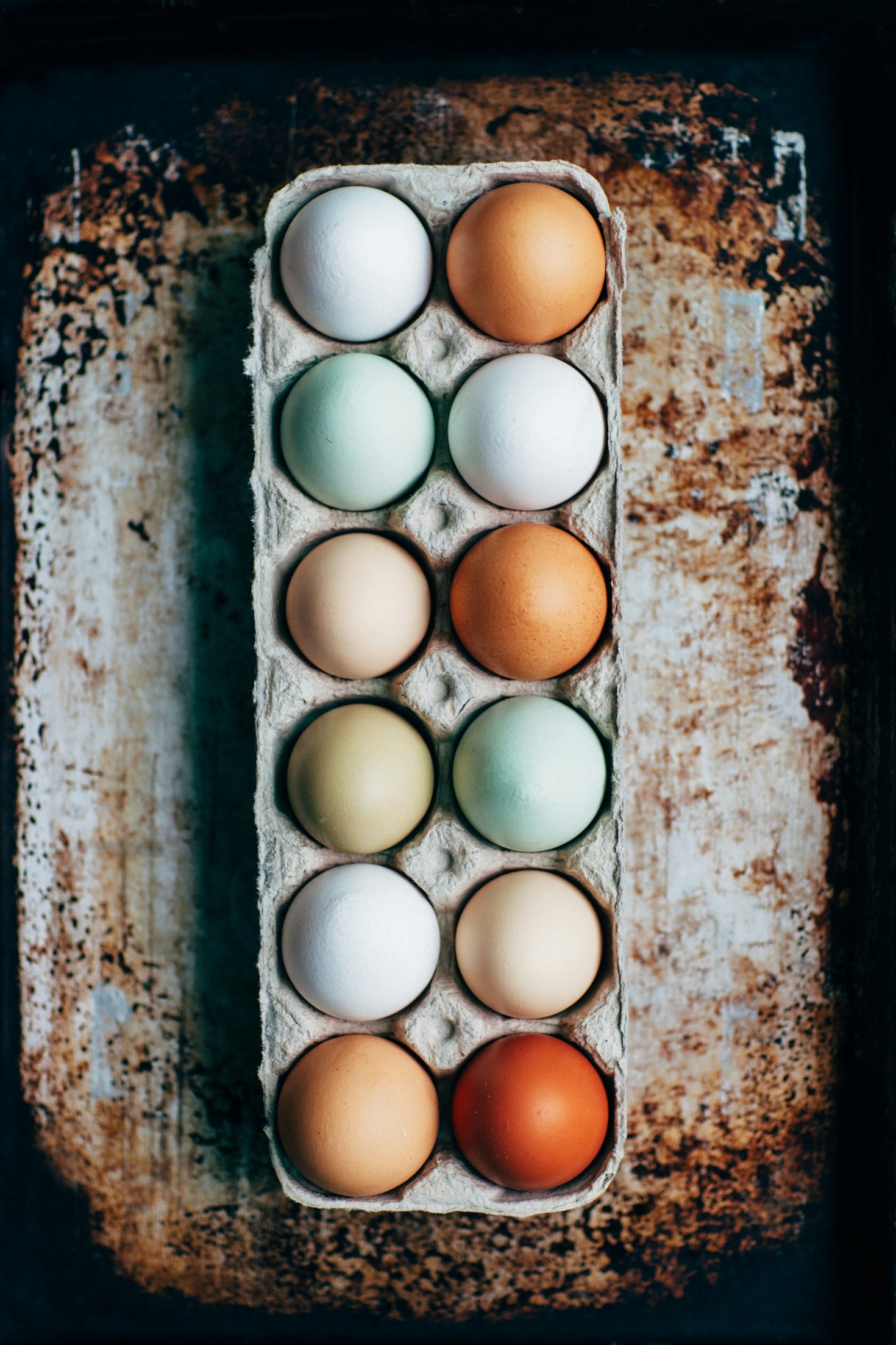 How Fresh Eggs Elevate Your Cooking Experience
